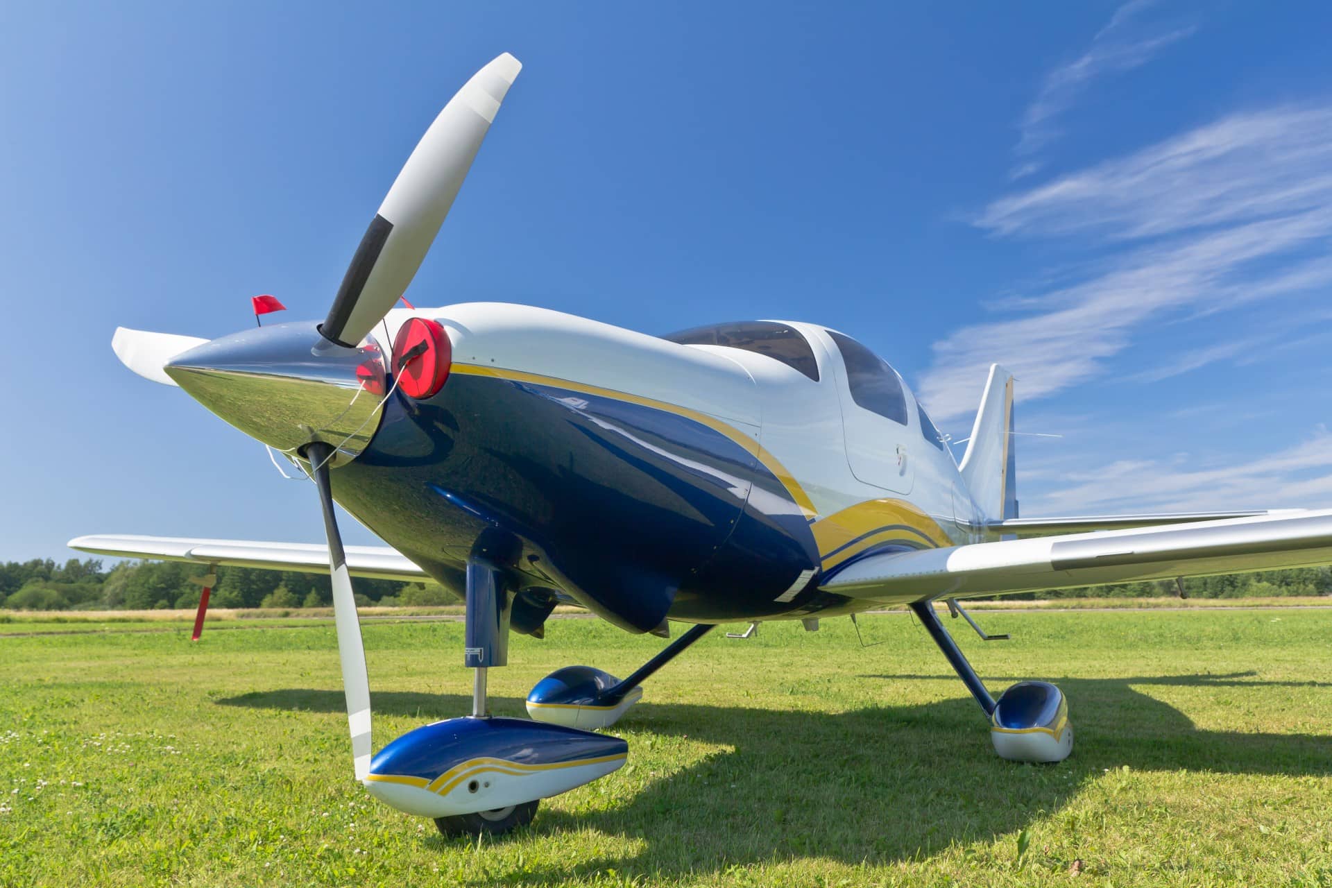 A white and blue plane parked on the grass